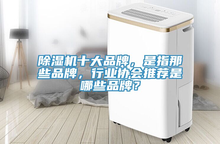 除湿机十大品牌，是指那些品牌，行业协会推荐是哪些品牌？