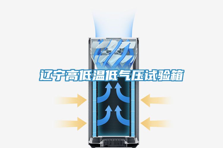 辽宁高低温低气压试验箱