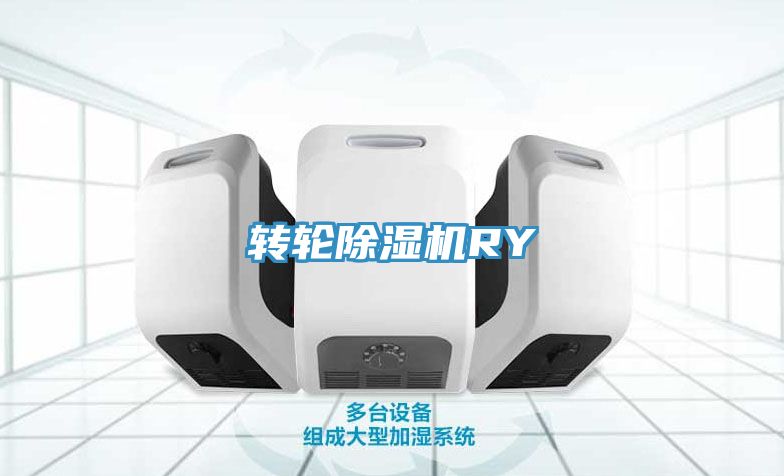 转轮除湿机RY