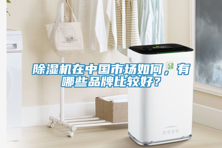 除湿机在中国市场如何，有哪些品牌比较好？