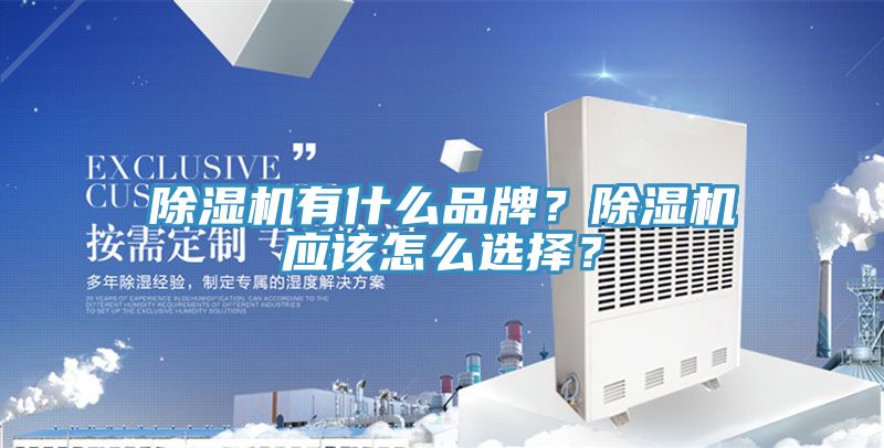 除湿机有什么品牌？除湿机应该怎么选择？