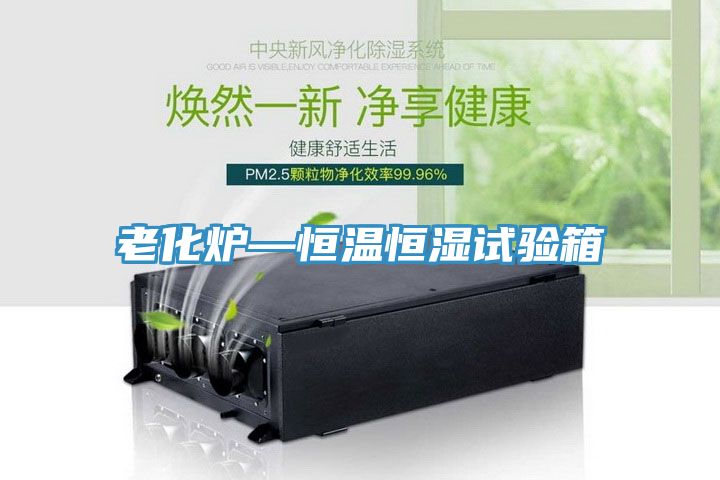 老化炉—恒温恒湿试验箱