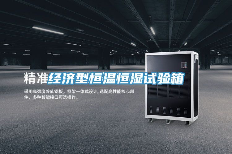 经济型恒温恒湿试验箱