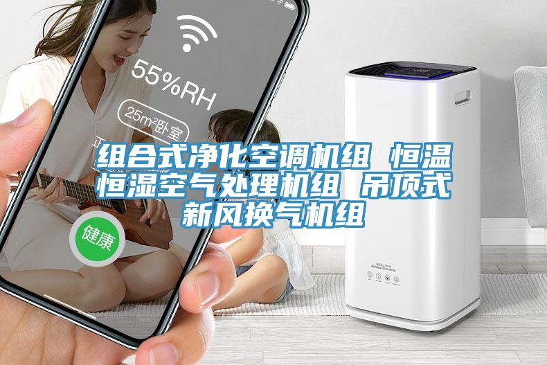 组合式净化空调机组 恒温恒湿空气处理机组 吊顶式新风换气机组