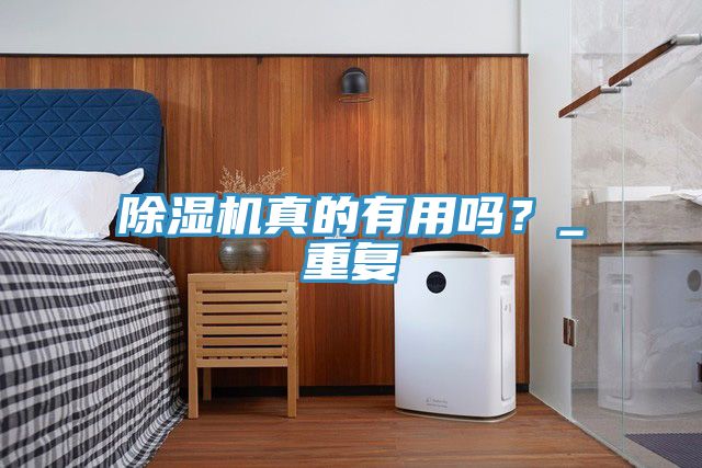 除湿机真的有用吗？_重复
