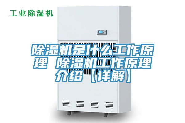 除湿机是什么工作原理 除湿机工作原理介绍【详解】
