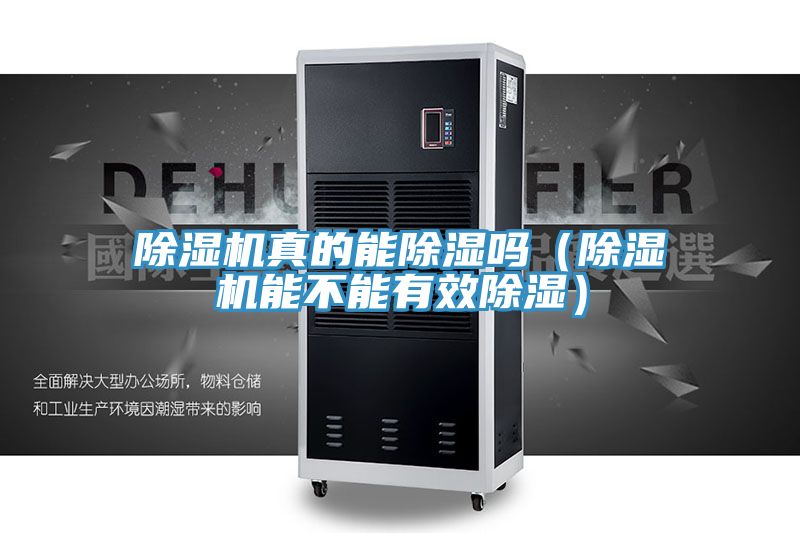 除湿机真的能除湿吗（除湿机能不能有效除湿）