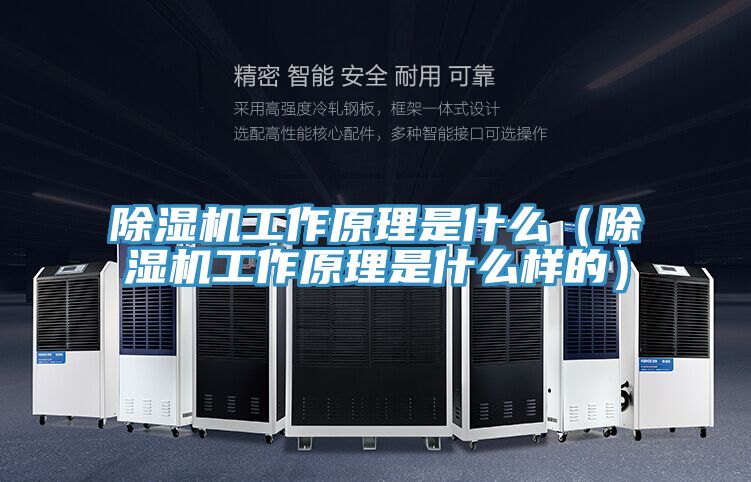 除湿机工作原理是什么（除湿机工作原理是什么样的）
