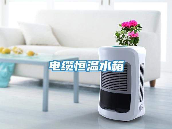 电缆恒温水箱