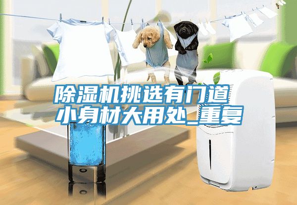 除湿机挑选有门道 小身材大用处_重复