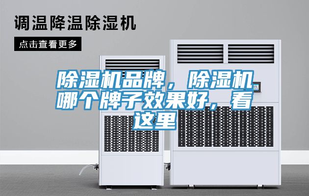除湿机品牌，除湿机哪个牌子效果好，看这里