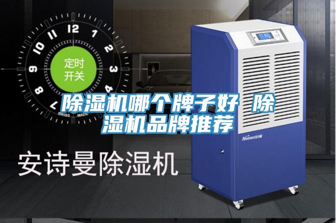 除湿机哪个牌子好 除湿机品牌推荐