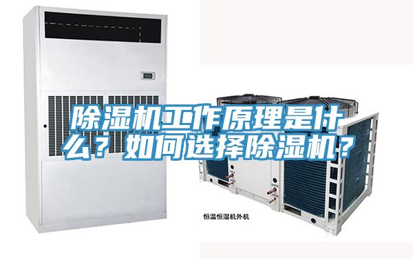 除湿机工作原理是什么？如何选择除湿机？