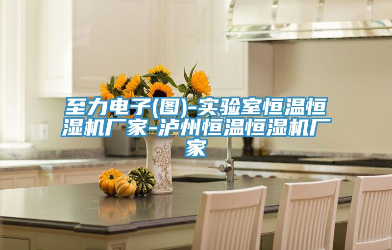 至力电子(图)-实验室恒温恒湿机厂家-泸州恒温恒湿机厂家
