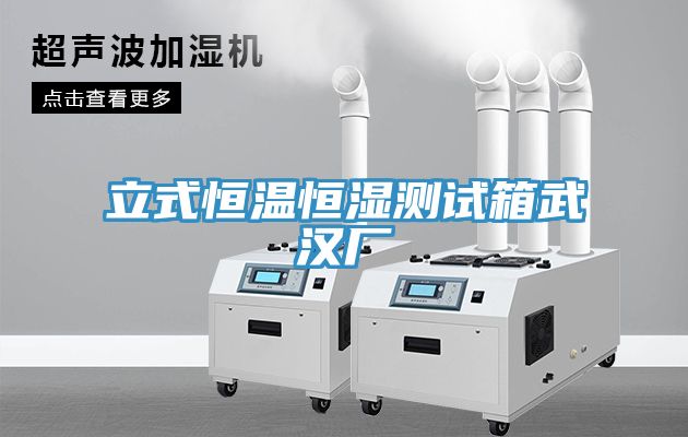 立式恒温恒湿测试箱武汉厂