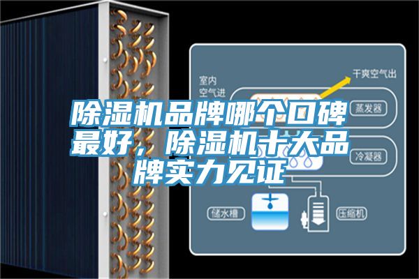 除湿机品牌哪个口碑最好，除湿机十大品牌实力见证