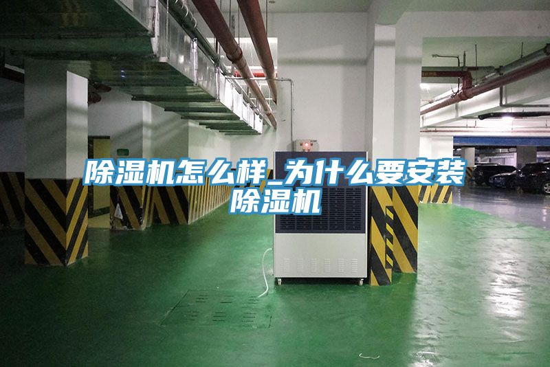 除湿机怎么样_为什么要安装除湿机