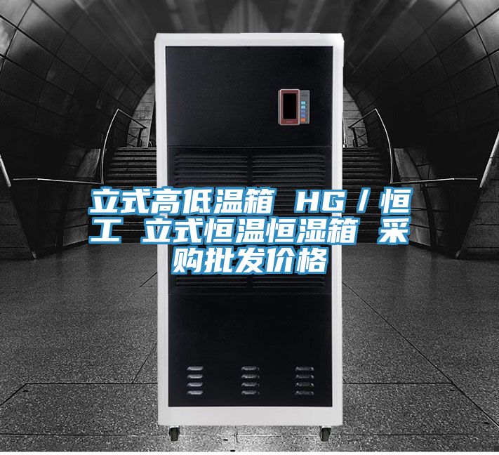 立式高低温箱 HG／恒工 立式恒温恒湿箱 采购批发价格