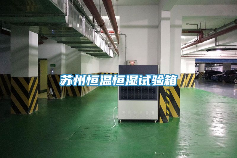 苏州恒温恒湿试验箱