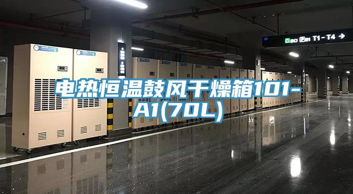 电热恒温鼓风干燥箱101-A1(70L)