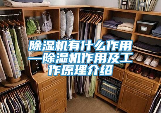 除湿机有什么作用—除湿机作用及工作原理介绍