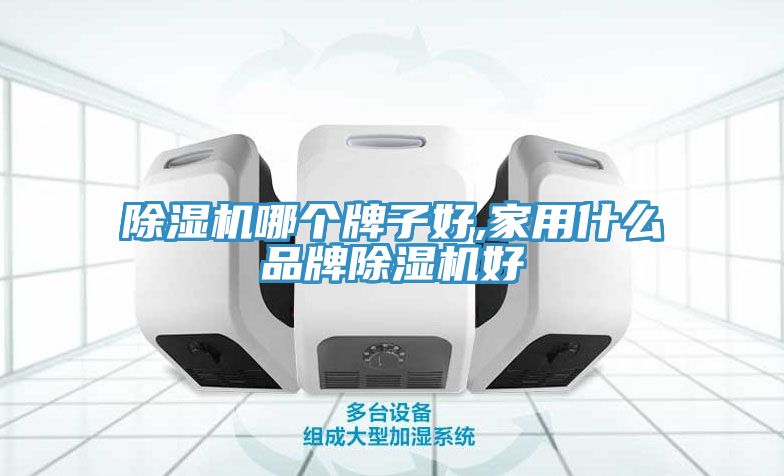 除湿机哪个牌子好,家用什么品牌除湿机好