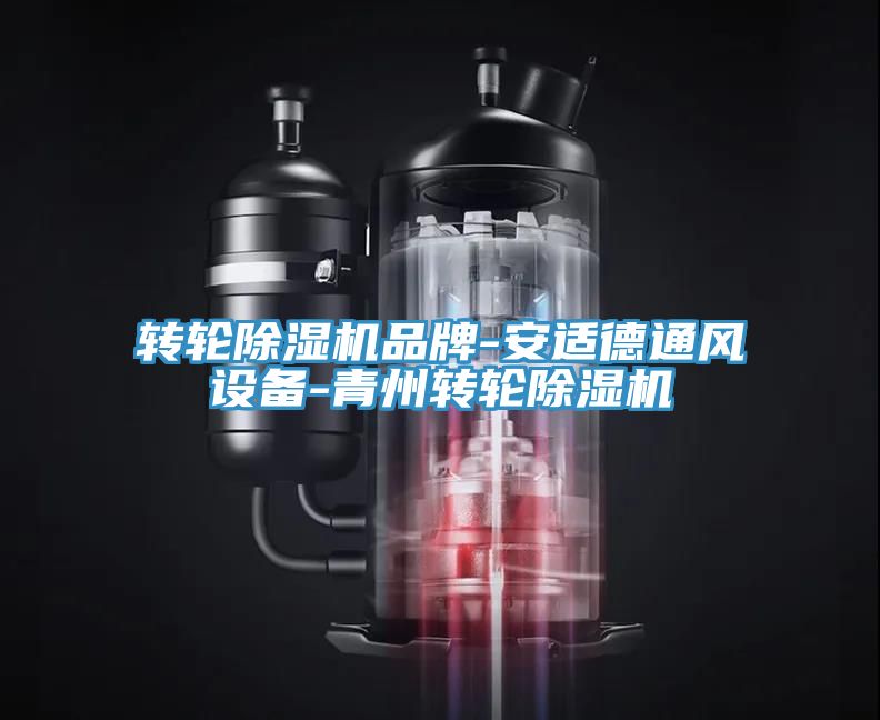 转轮除湿机品牌-安适德通风设备-青州转轮除湿机