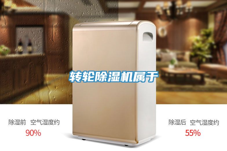 转轮除湿机属于