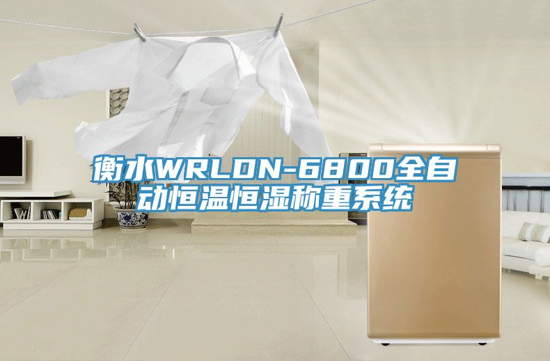 衡水WRLDN-6800全自动恒温恒湿称重系统