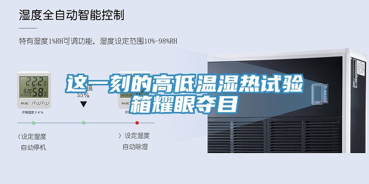 这一刻的高低温湿热试验箱耀眼夺目