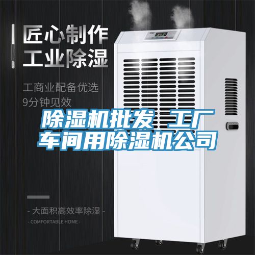 除湿机批发 工厂车间用除湿机公司