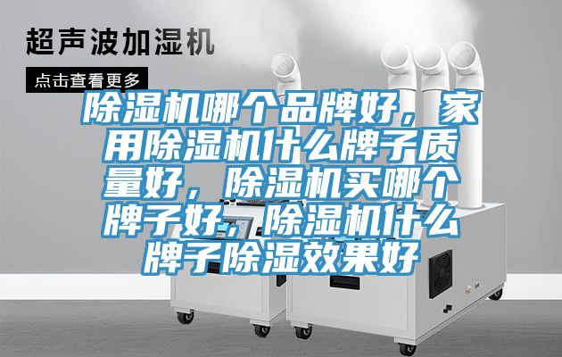 除湿机哪个品牌好，家用除湿机什么牌子质量好，除湿机买哪个牌子好，除湿机什么牌子除湿效果好