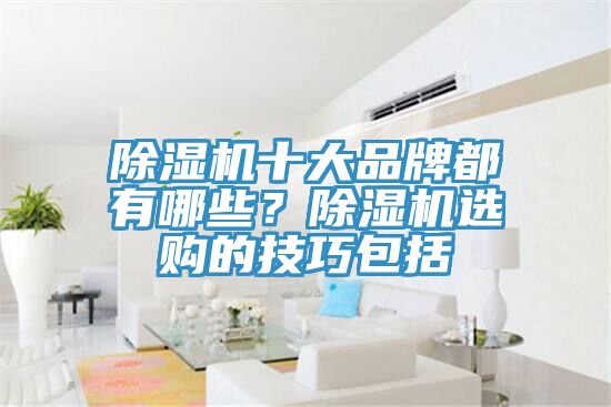 除湿机十大品牌都有哪些？除湿机选购的技巧包括
