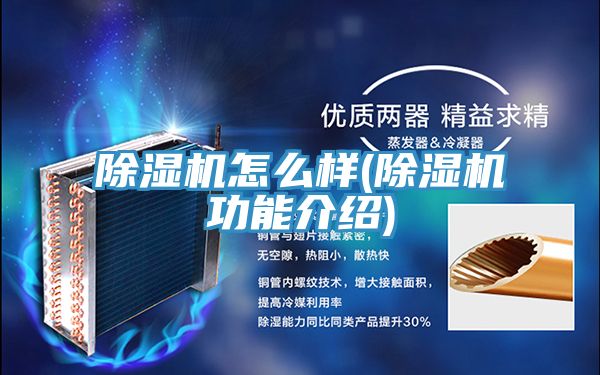 除湿机怎么样(除湿机功能介绍)