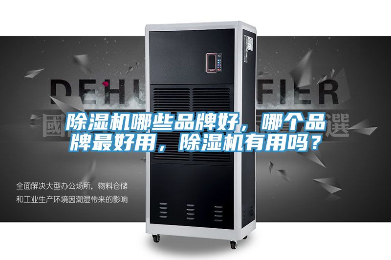除湿机哪些品牌好，哪个品牌最好用，除湿机有用吗？