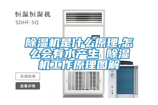 除湿机是什么原理,怎么会有水产生 除湿机工作原理图解