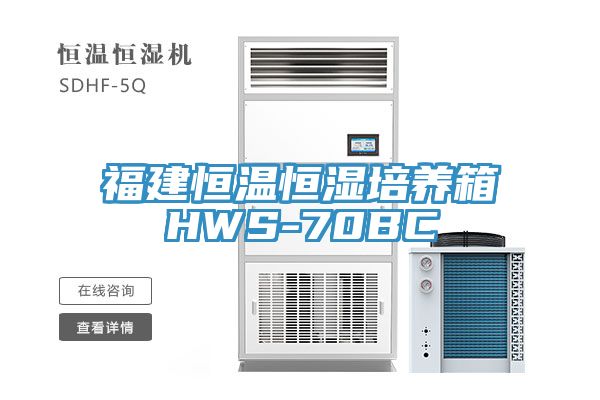 福建恒温恒湿培养箱HWS-70BC