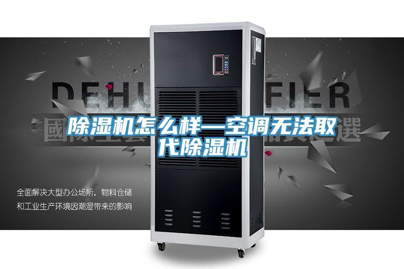 除湿机怎么样—空调无法取代除湿机