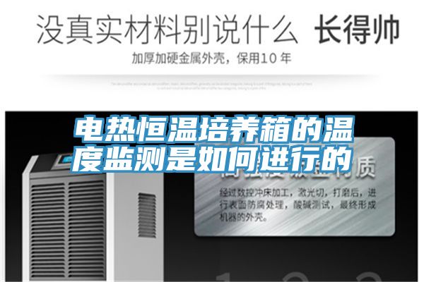 电热恒温培养箱的温度监测是如何进行的