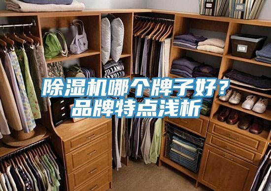 除湿机哪个牌子好？品牌特点浅析
