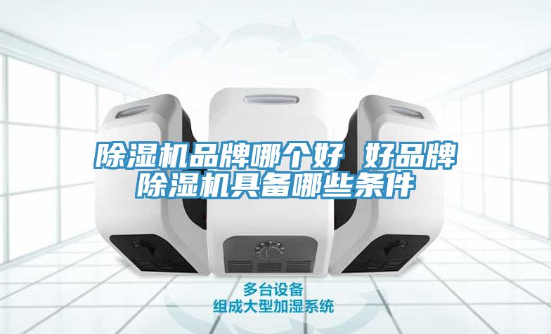 除湿机品牌哪个好 好品牌除湿机具备哪些条件
