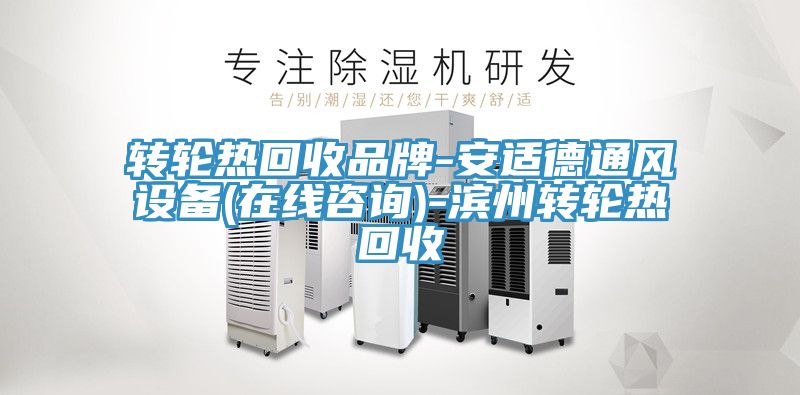转轮热回收品牌-安适德通风设备(在线咨询)-滨州转轮热回收