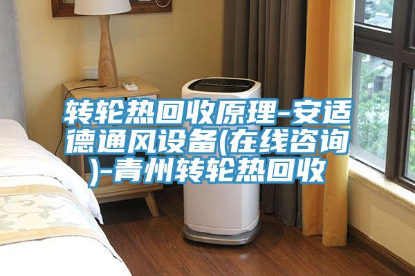 转轮热回收原理-安适德通风设备(在线咨询)-青州转轮热回收