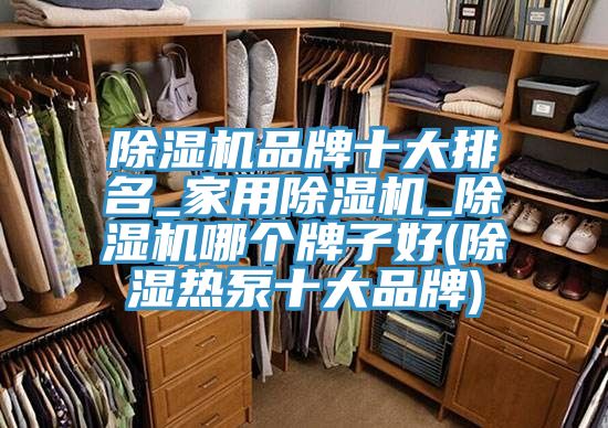 除湿机品牌十大排名_家用除湿机_除湿机哪个牌子好(除湿热泵十大品牌)