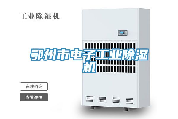 鄂州市电子工业除湿机
