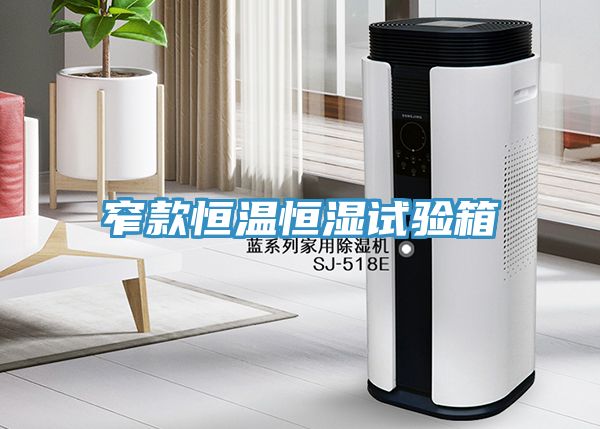 窄款恒温恒湿试验箱