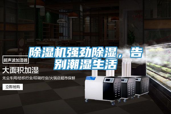 除湿机强劲除湿，告别潮湿生活