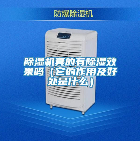 除湿机真的有除湿效果吗（它的作用及好处是什么）