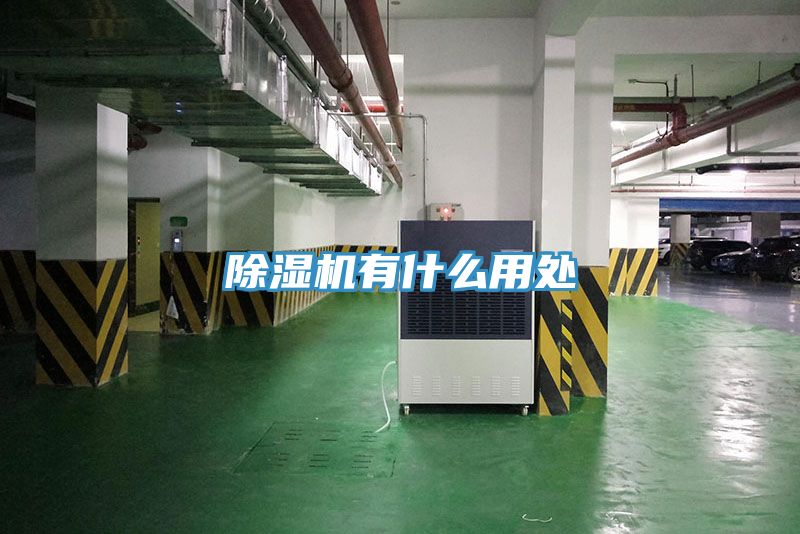 除湿机有什么用处