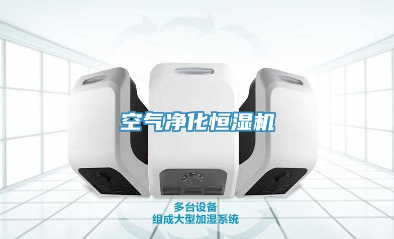 空气净化恒湿机